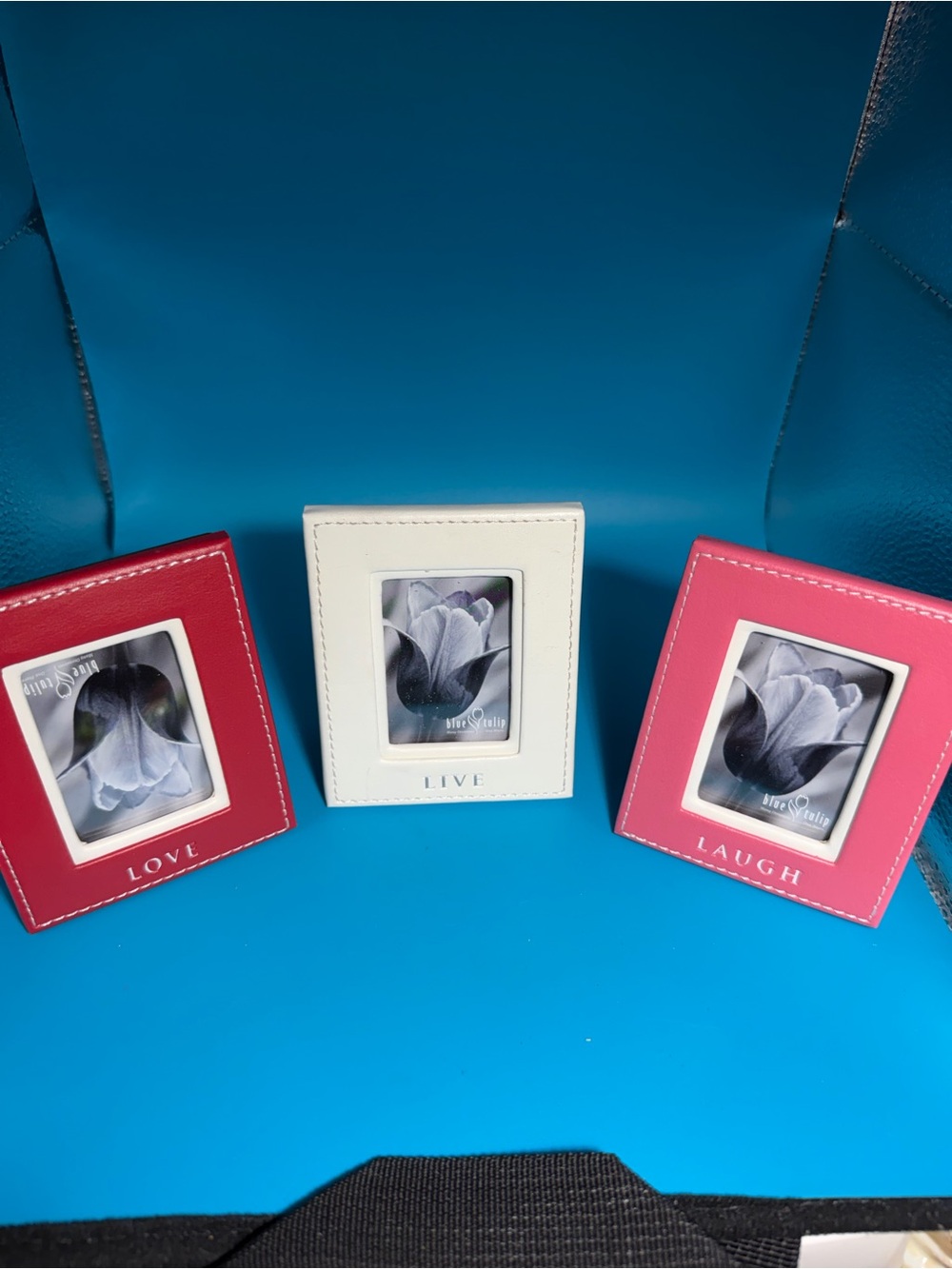 Lot of 3 Blue Tulip Small Frames